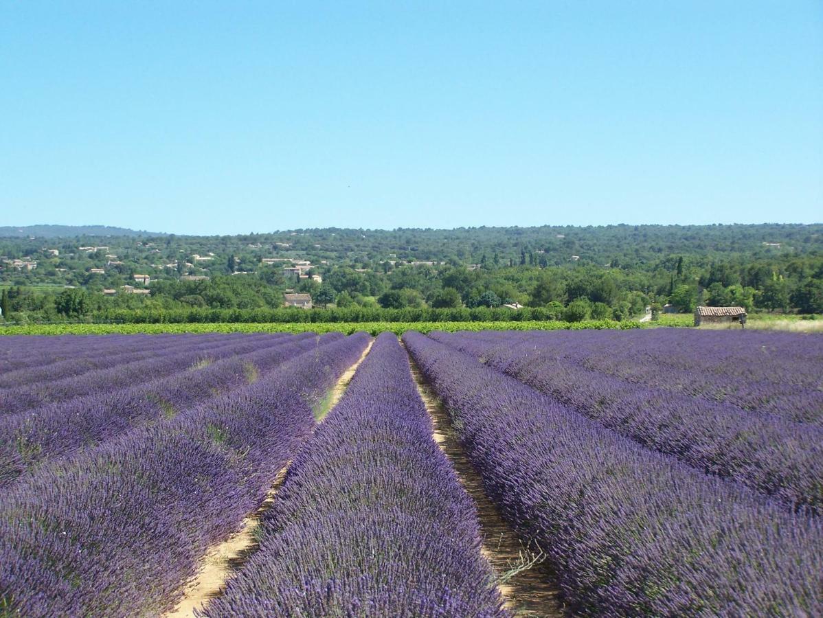 Bed & Breakfast Le Verger 3*