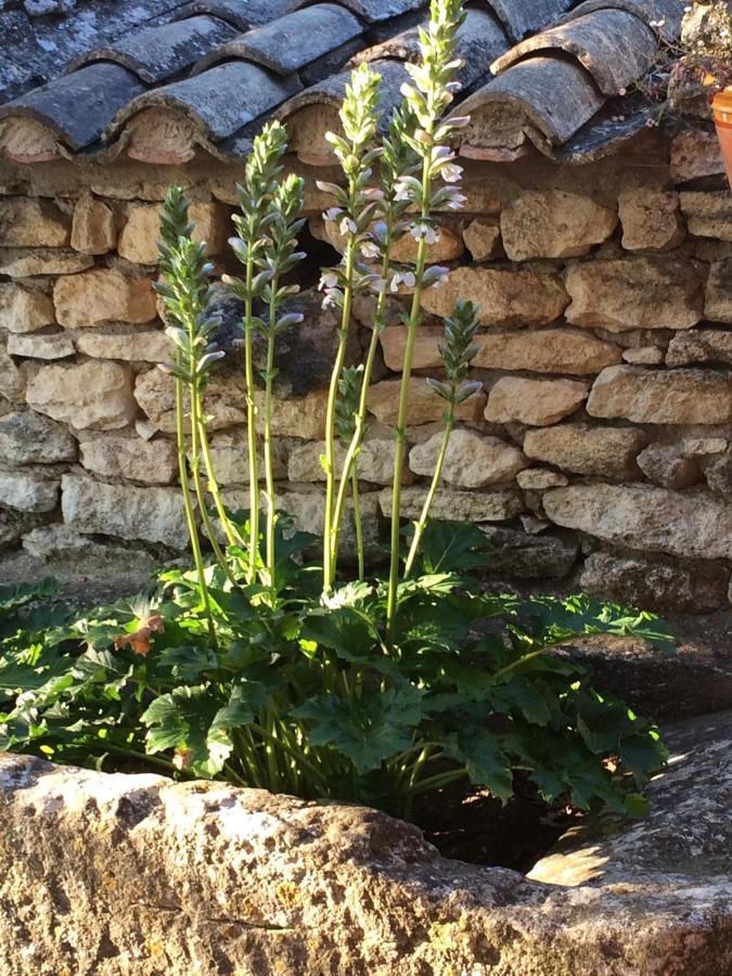 Le Verger Couette-café Gordes